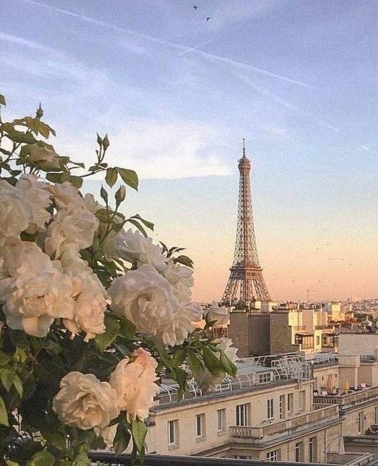 Pariz