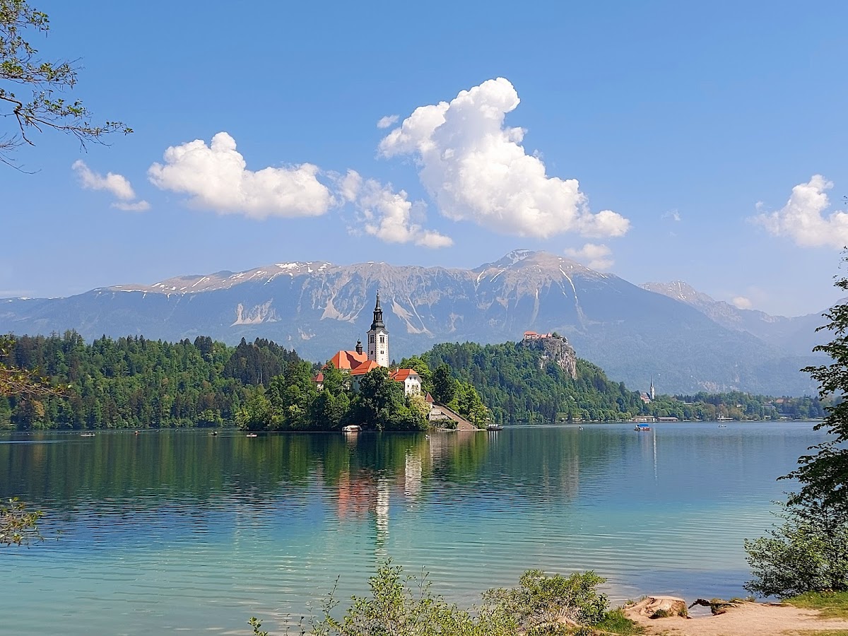 Bled jezero