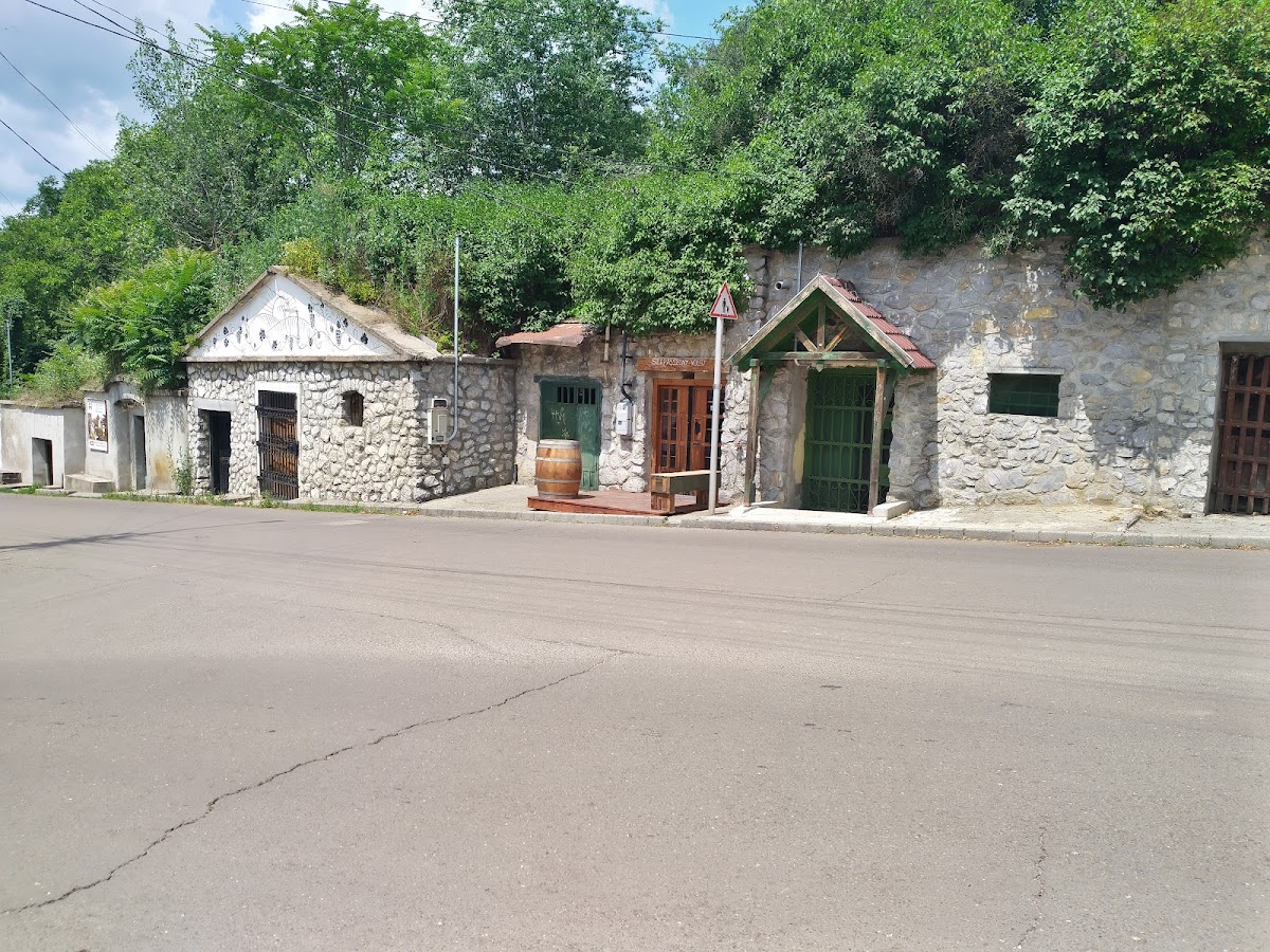 Egersko vinsko podrumlje i tvrđava