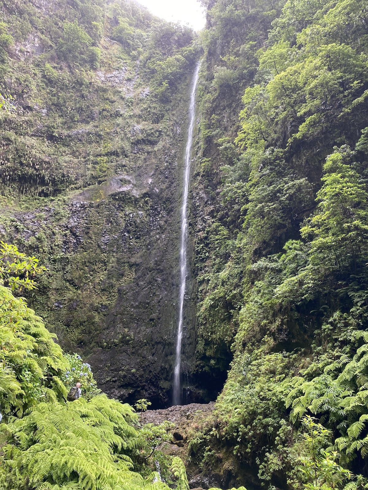 Levada do Caldeirao Verde