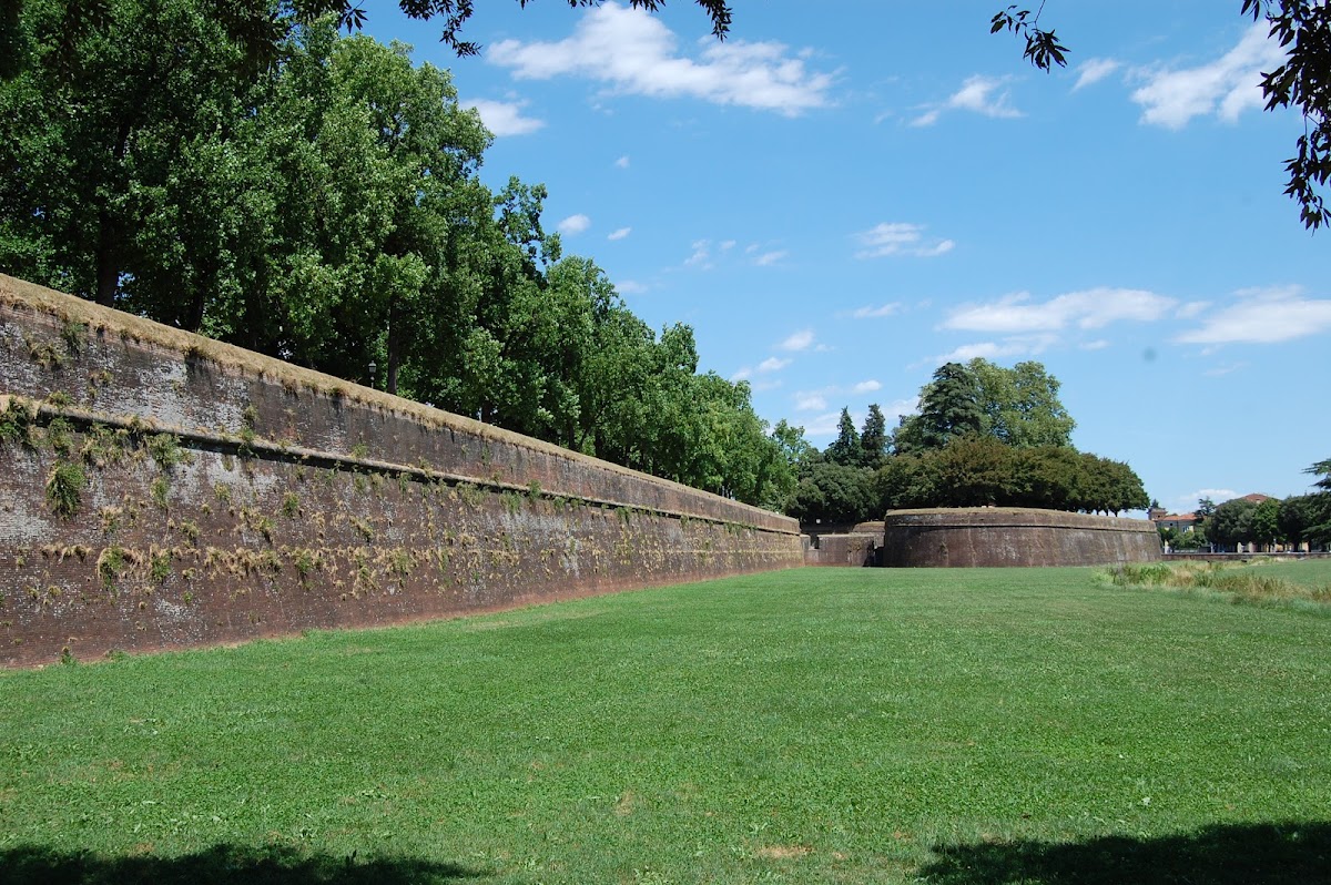 Lucca