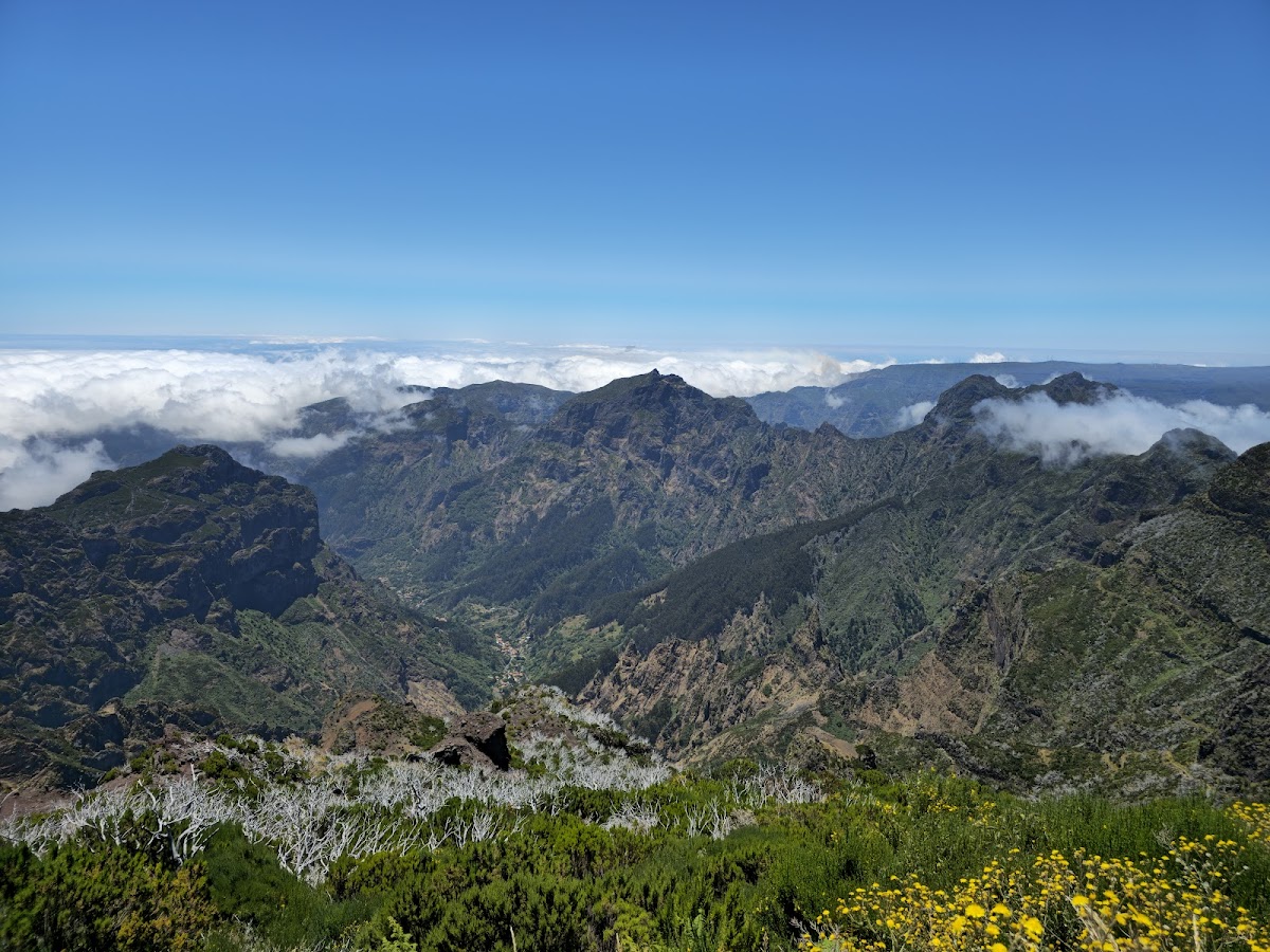 Vereda do Arieiro (PR1)