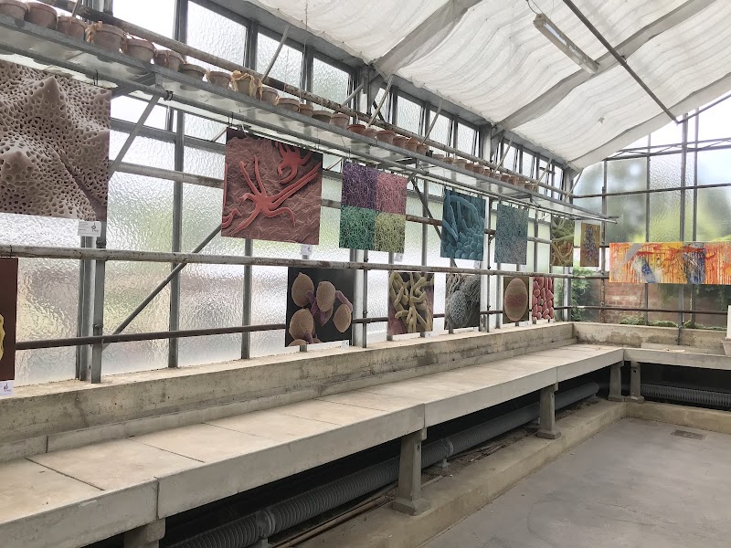 Garage Botanischer Garten