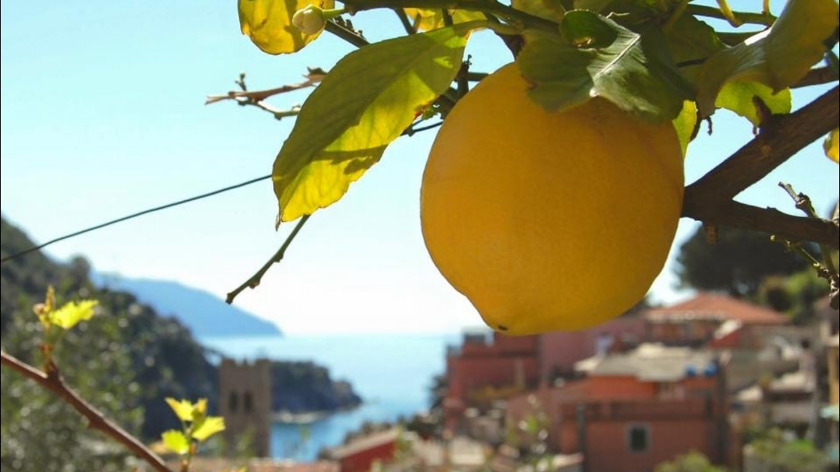 Monterosso Parking
