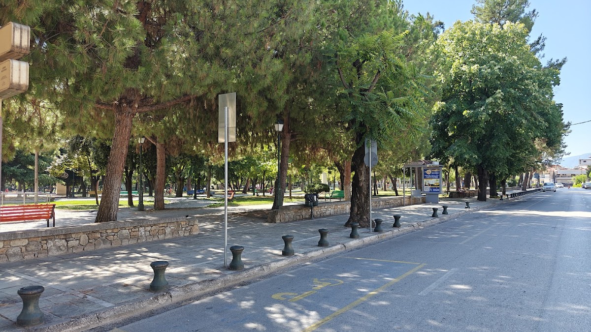Χώρος στάθμευσης αναπήρων
