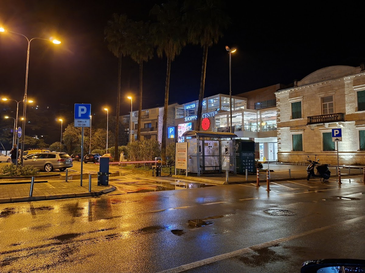 Parking Kamelija