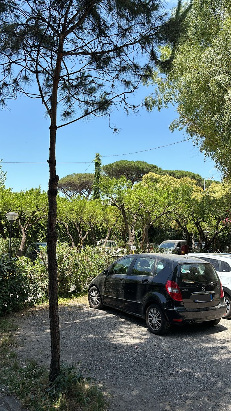 Parking Spartacus