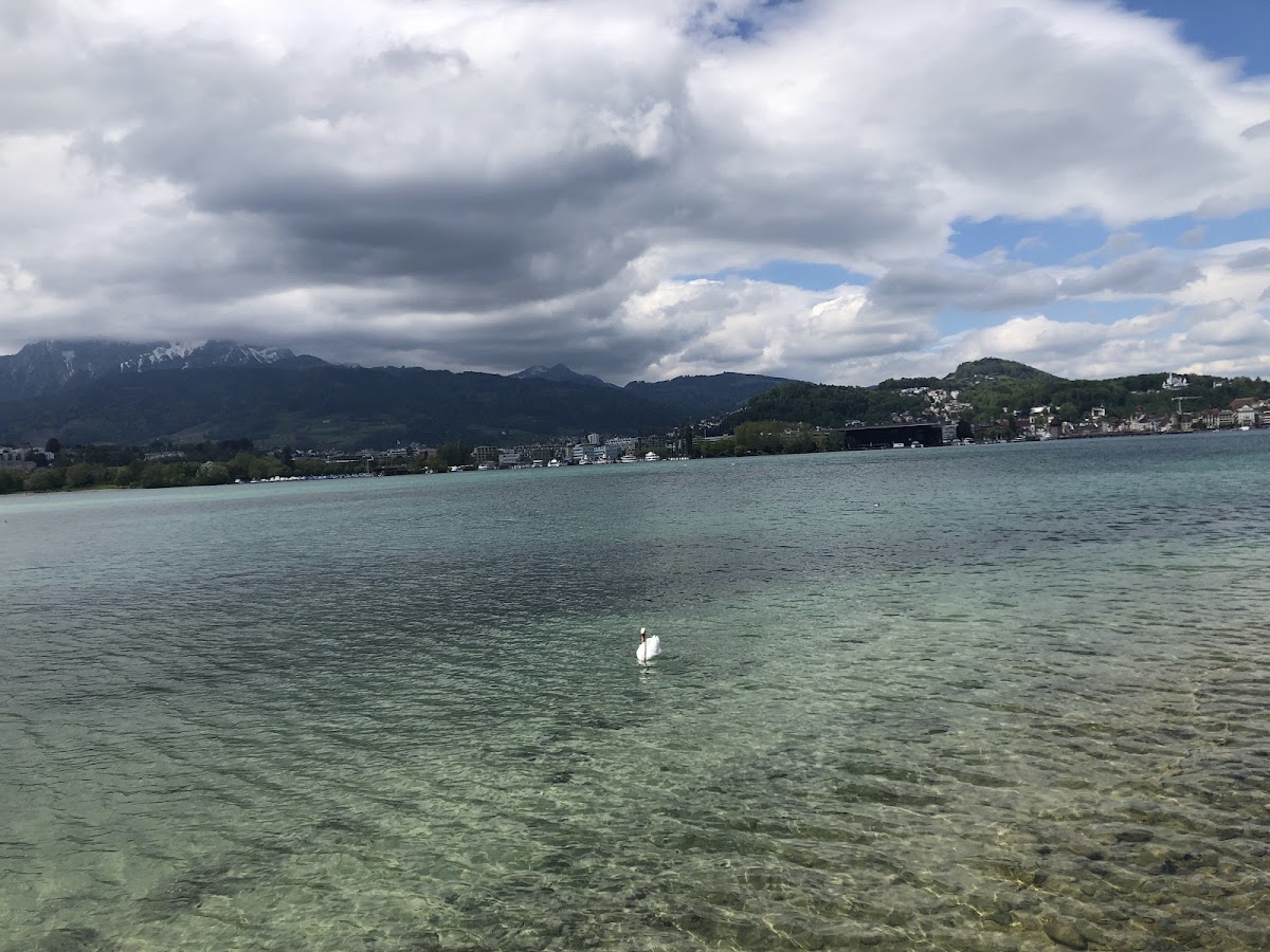 Parkplatz Verkehrshaus und Lido