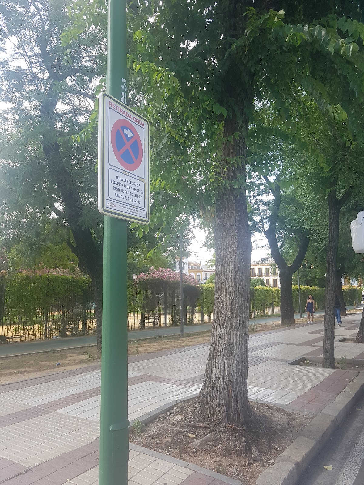 T Bus Sevilla , jardines Murillo