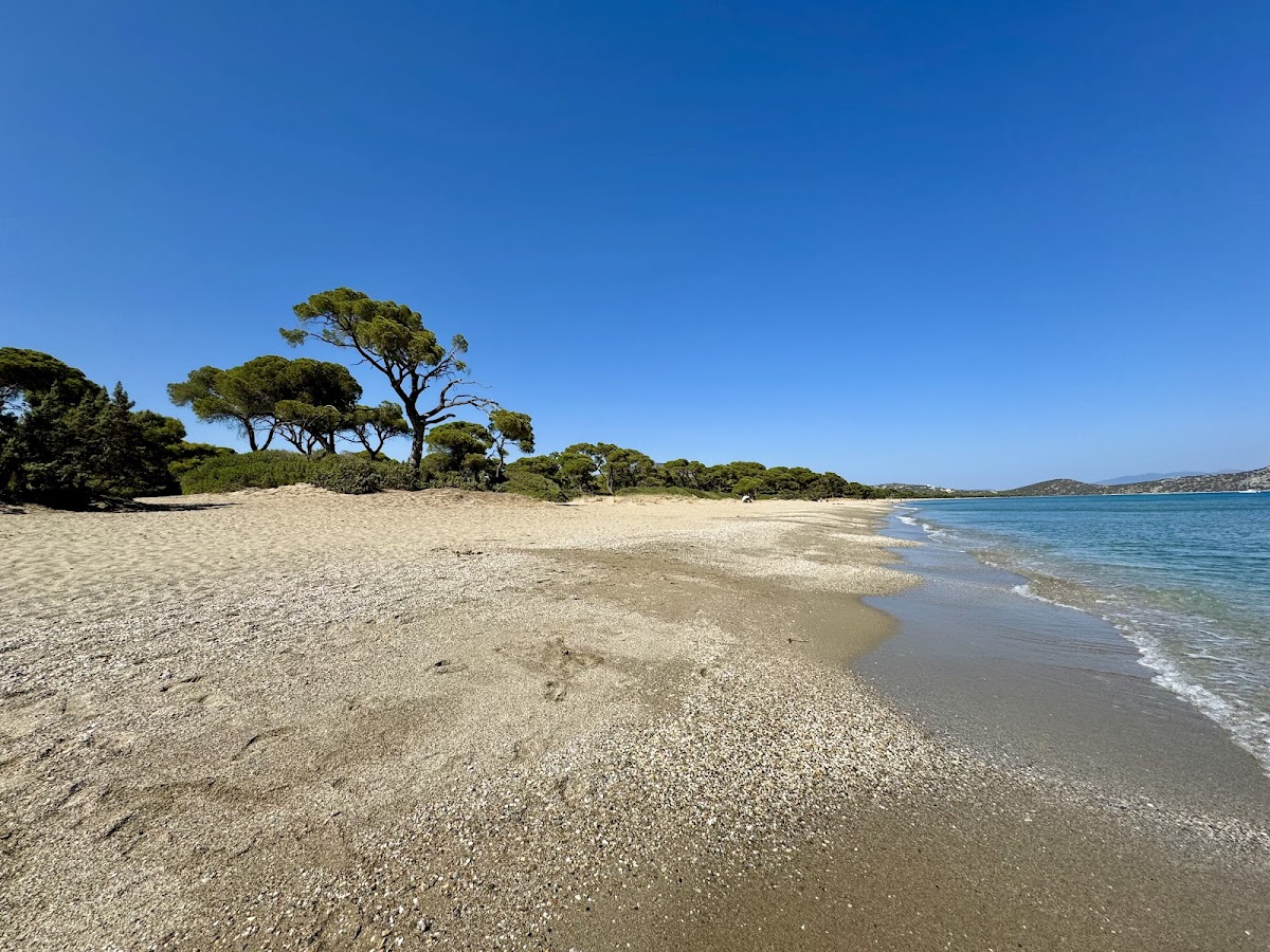 Šinia plaža