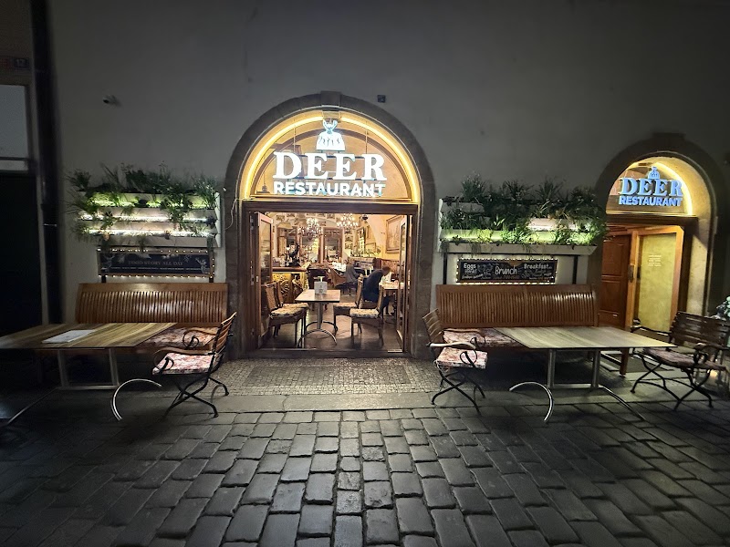 Beer Restaurant U Zlatého Hada