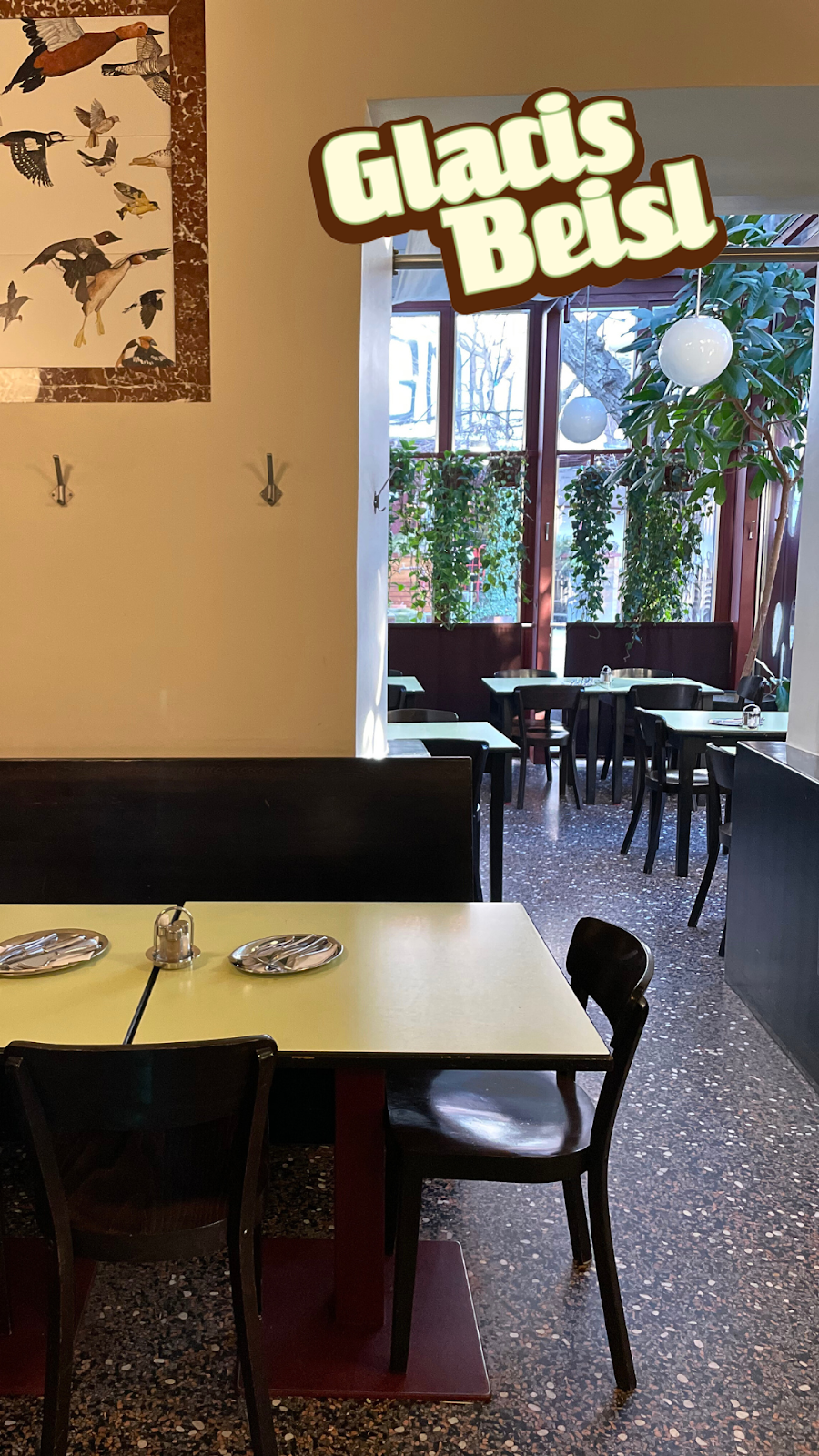 Glacis Beisl