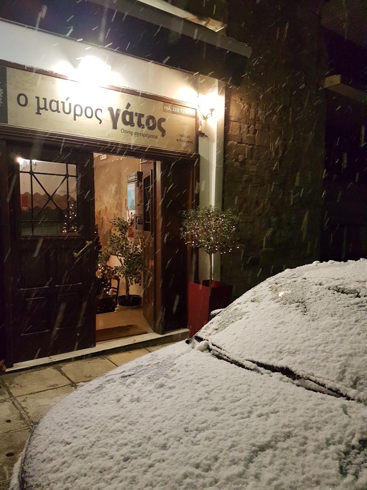 Mavros Gatos
