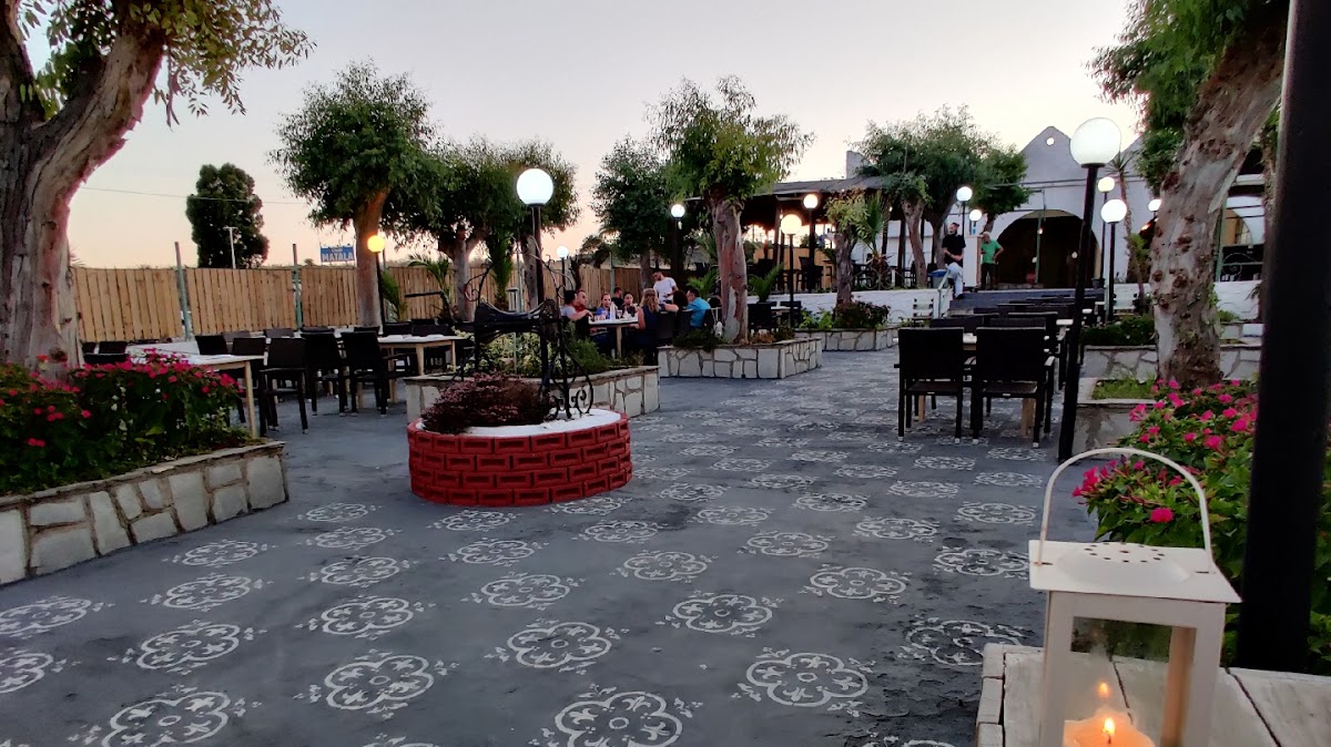 Pizza Restaurant Avli