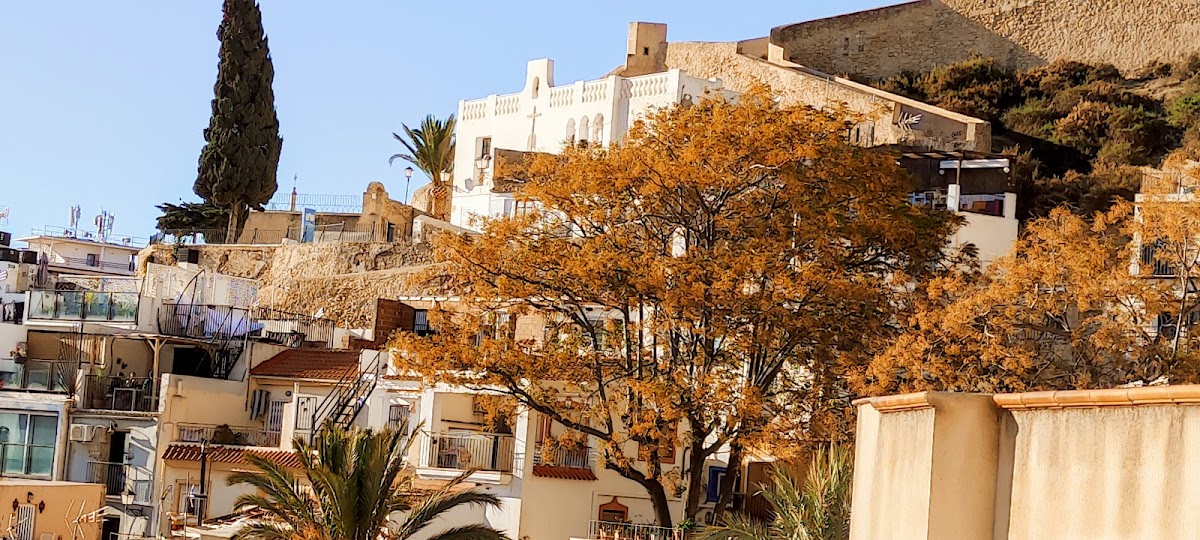 Barrio de Santa Cruz