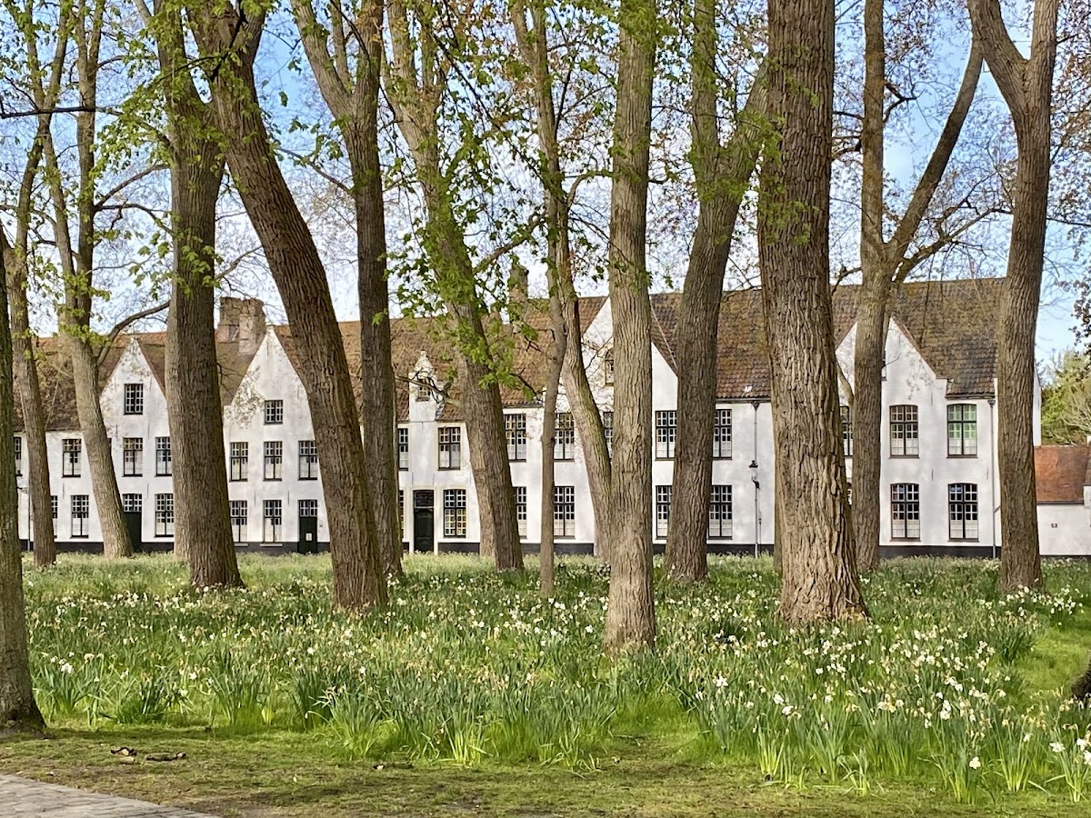 Beginhof