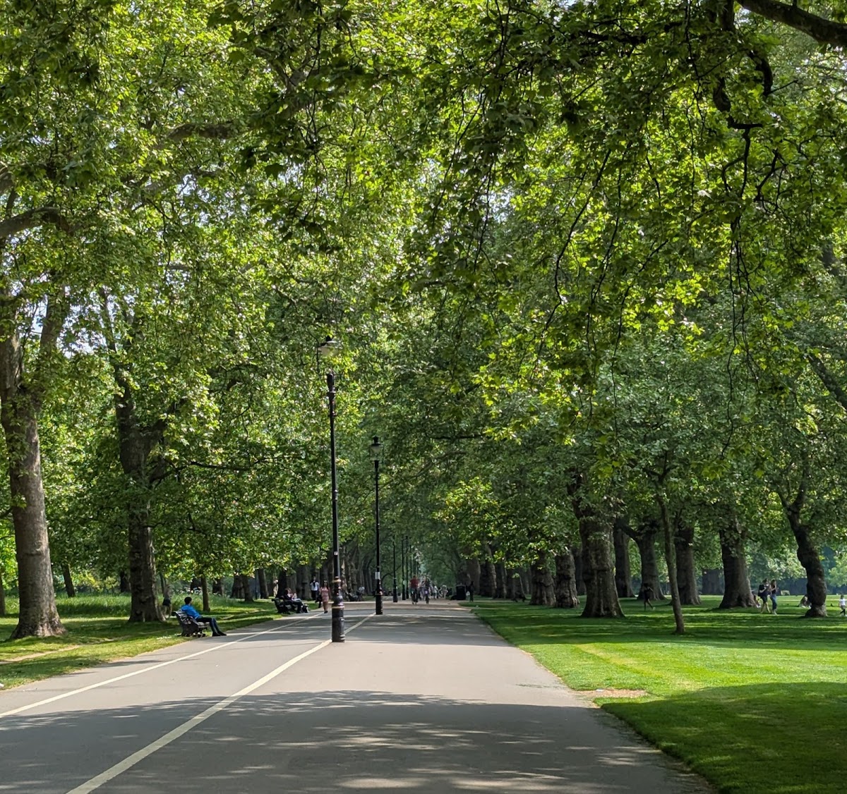 Hajd Park