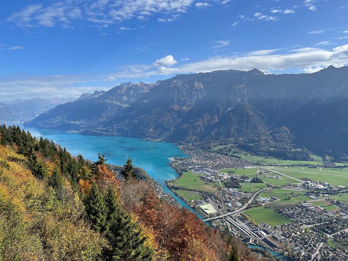 Harder Kulm