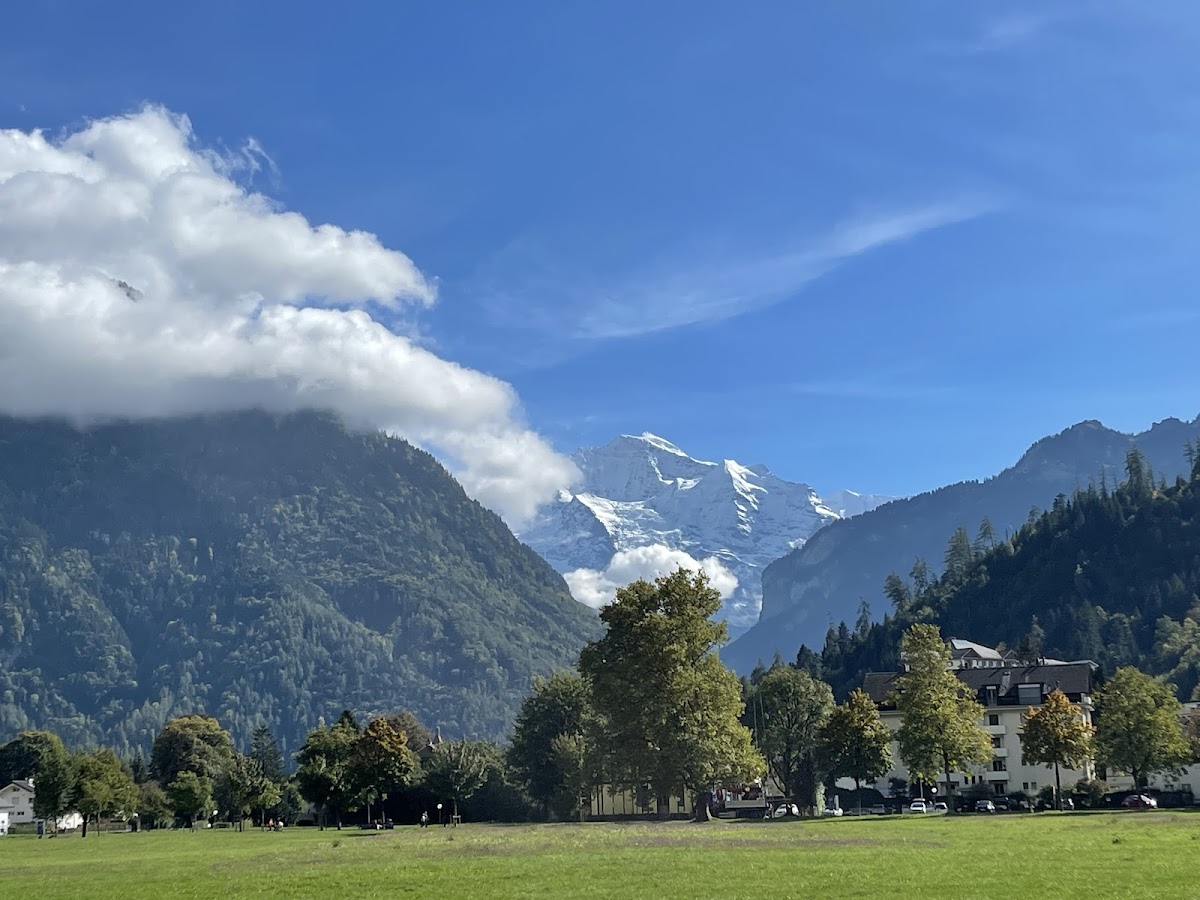 Hohematte park