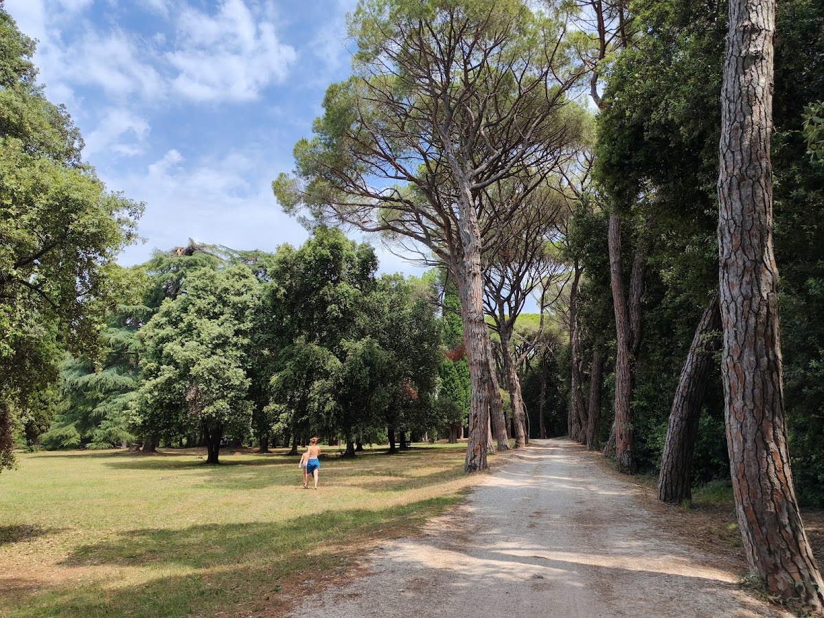 Park šuma Zlatni rt (Punta Corrente)