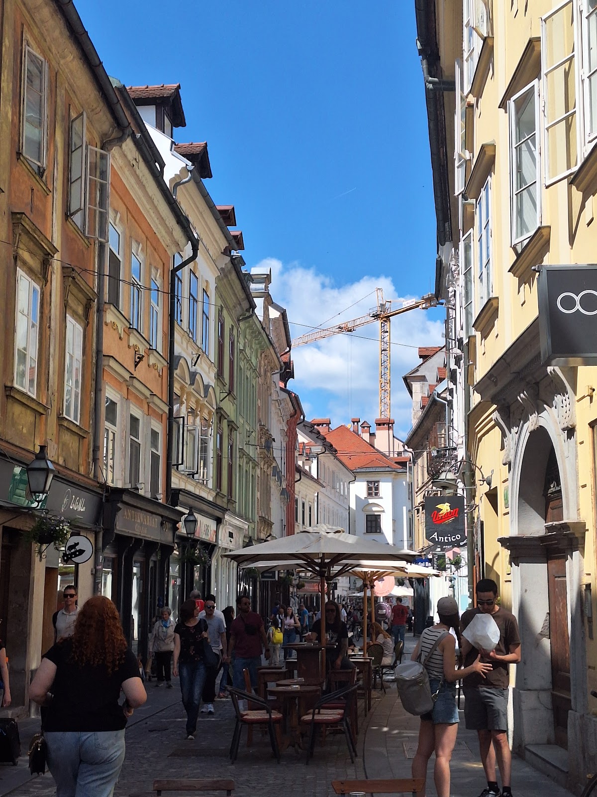 Stari grad Ljubljane