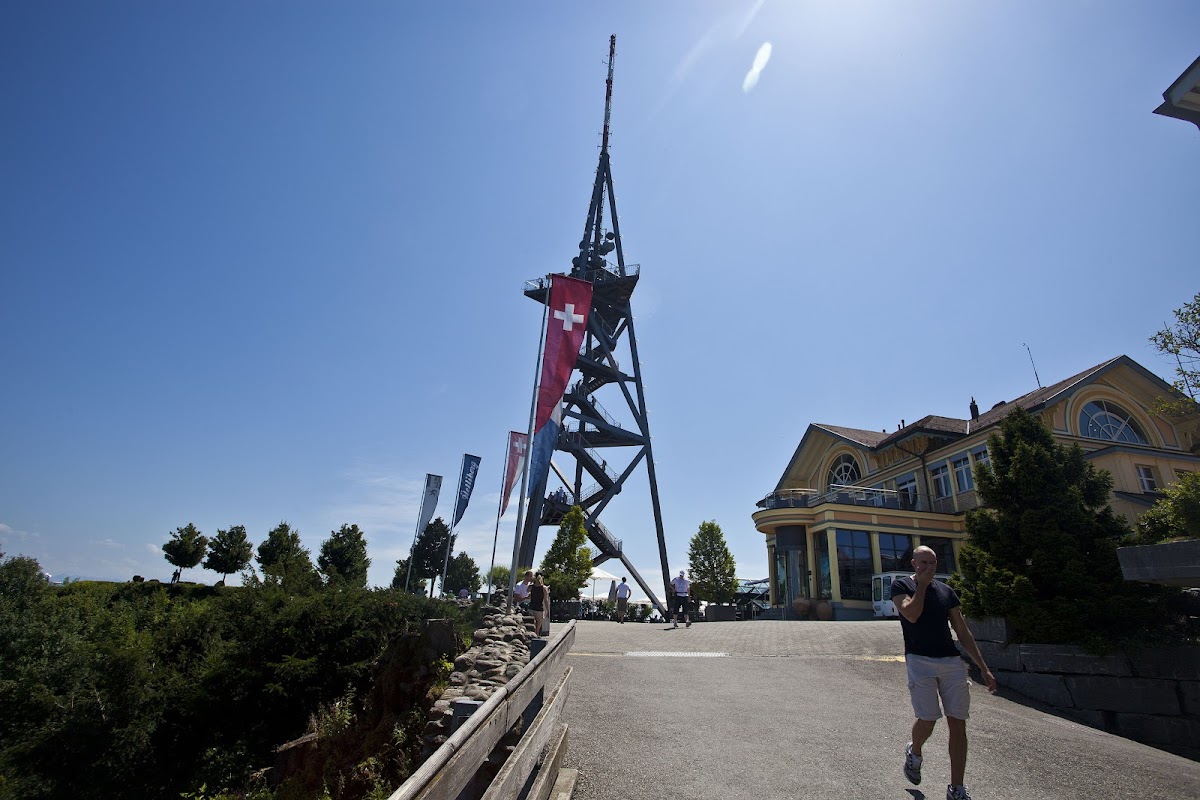 Uetliberg planina