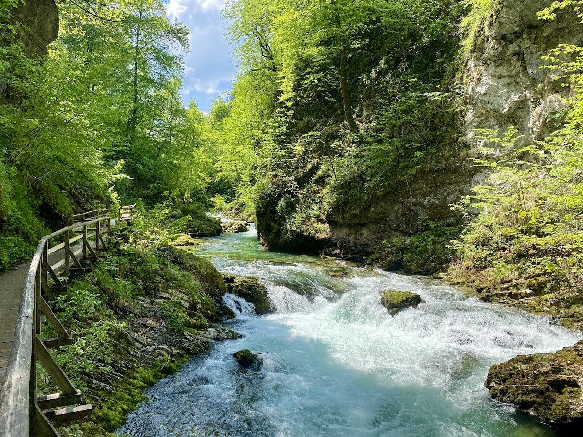 Vintgar klanac