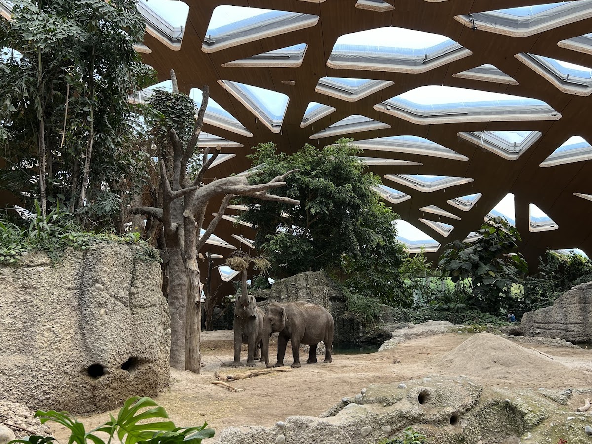Zoo Zürich